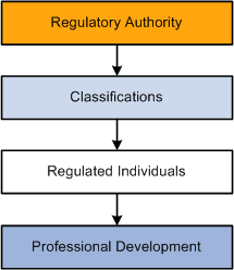 Overview of the Manage Professional Compliance Structure
