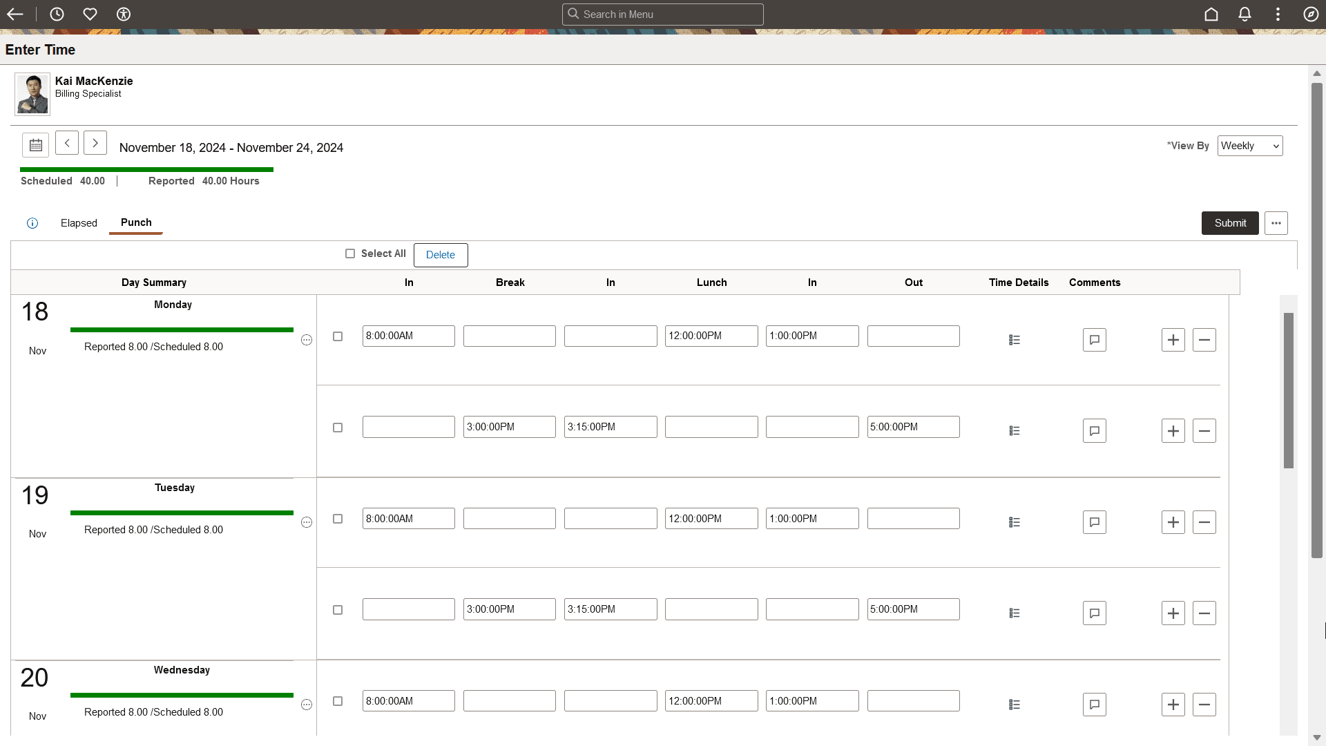 Enter Time Punch Reporter page