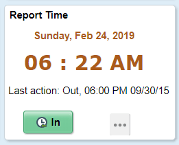 Report Time page for Punch time reporters