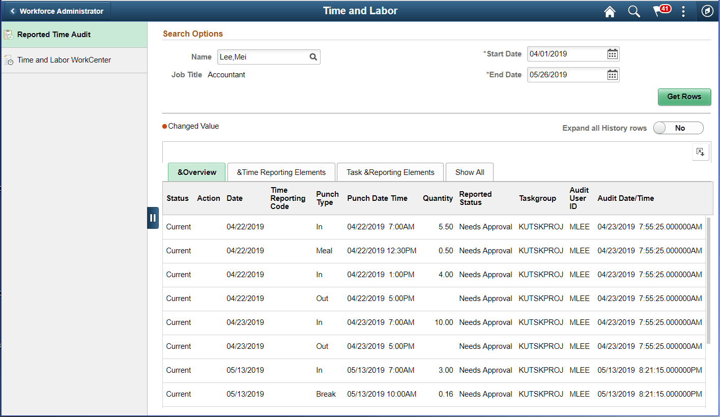 Report Time Audit page_Overview tab for Punch