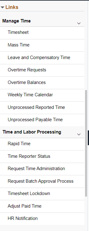 Time and Labor Link group box_Manager