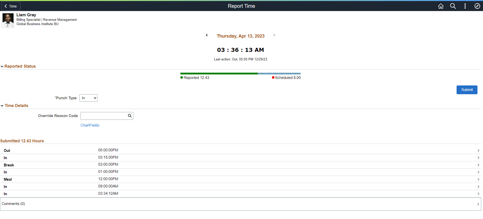 Report Time Page_Punch Reporter ChartField
