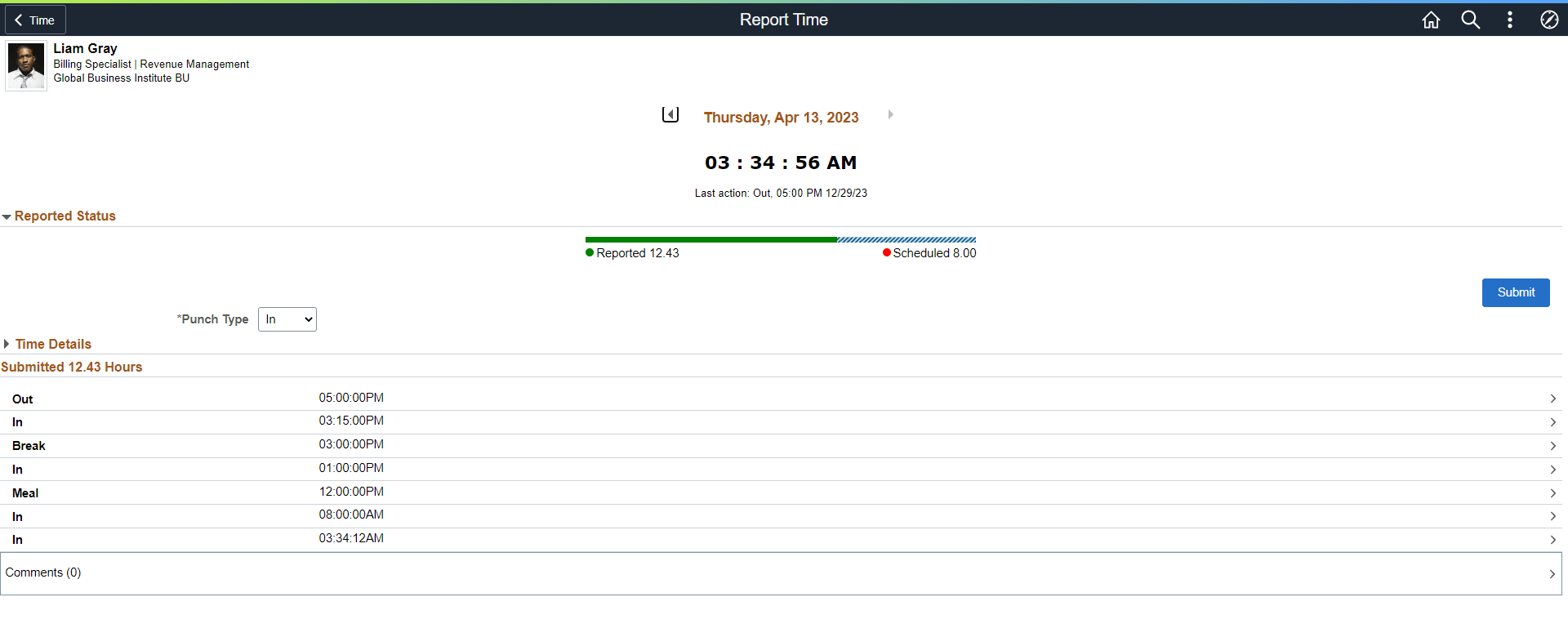 Employee_Punch Time Reporting