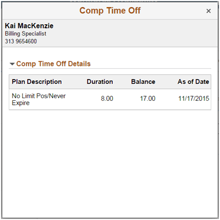 Comp Time Off Daily drill down details