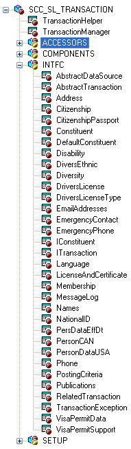 Example of application classes used by CTM (Constituent Transaction Management)