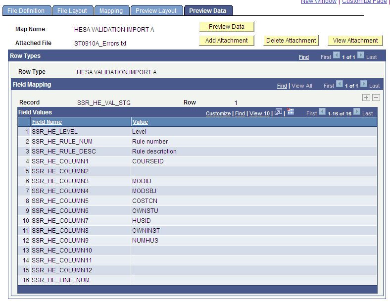 Example of the Preview Data page
