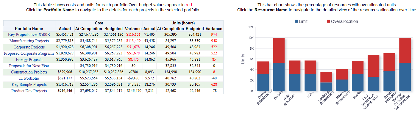Project Summary section pivot table.