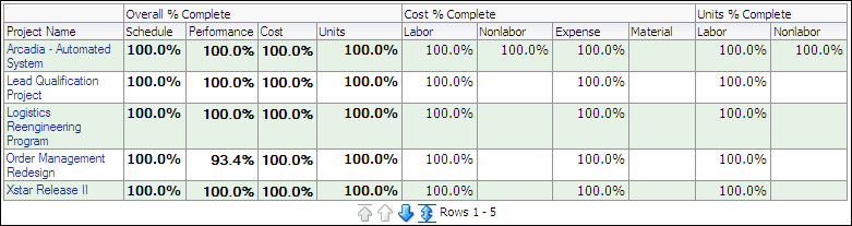 Percent Complete Analysis section by Project pivot table.