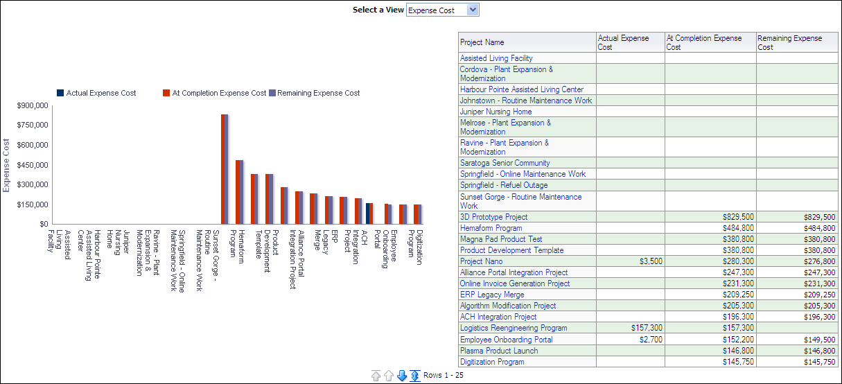 Cost by Type Section vertical bar graph and pivot table.