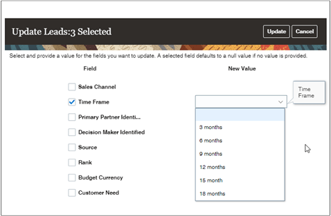「時間枠」フィールドが選択され、値リストが開いている「リードの更新」ページのスクリーンショット