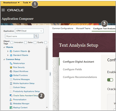 テキストで説明されている機能についてコールアウトが付いたアプリケーション・コンポーザのテキスト分析設定ページ