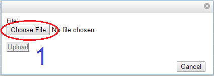 Choose File Choose File