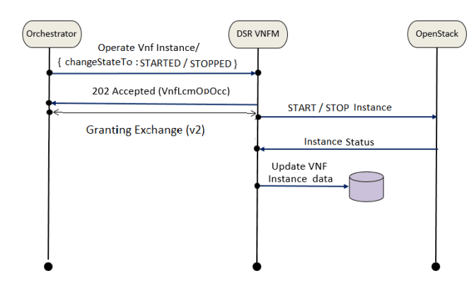 Operate vnf
