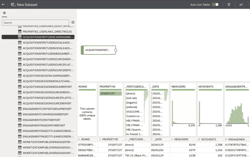 google-analytics-dataset-designer.pngの説明が続きます