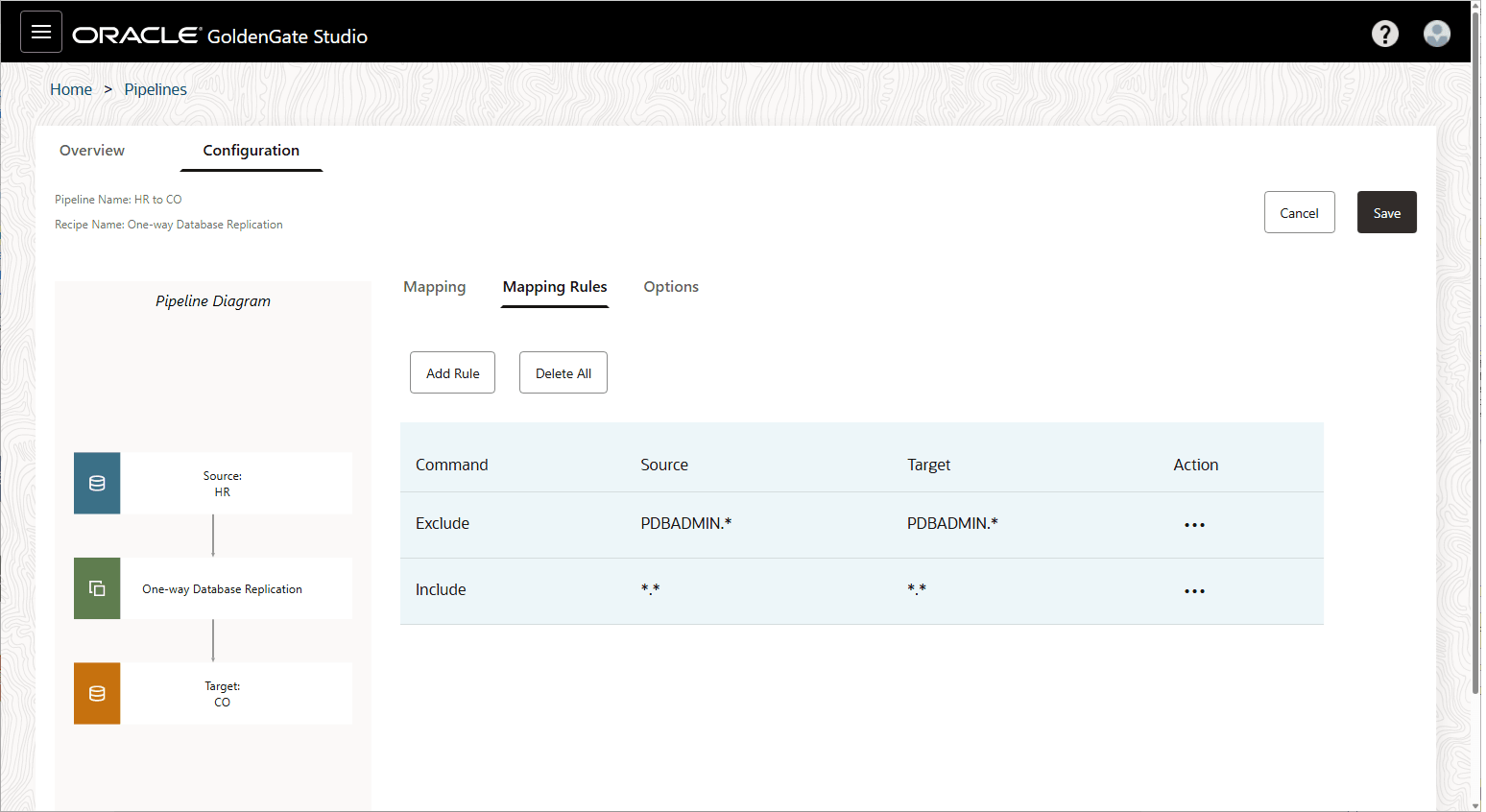 マッピング・ルールのオプションです。