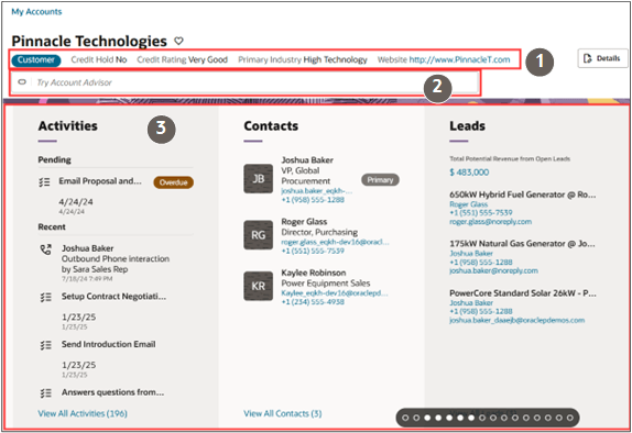 サンプルのアカウント・レコードのスクリーンショット