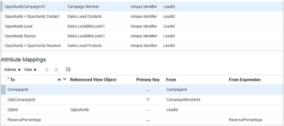 キャンペーンのエンティティ・マッピングのスクリーンショット