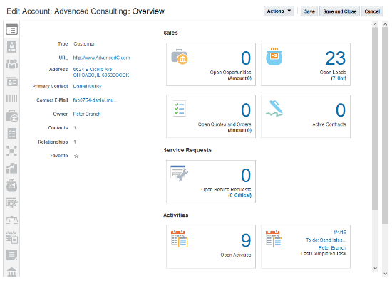 これは、アカウント・レコードの 「概要」サブタブのスクリーンショットです。