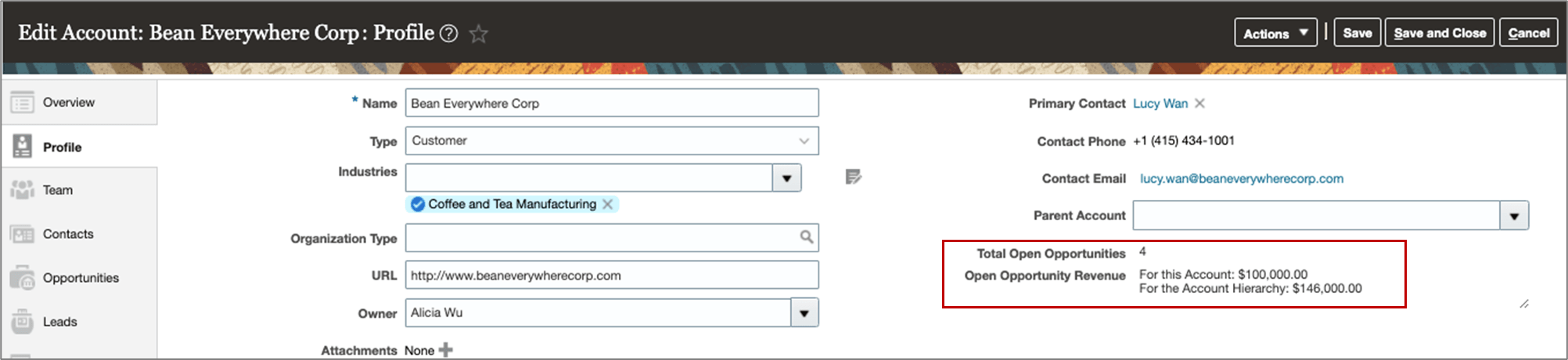 このスクリーン・ショットは、「アカウント・プロファイル」ページのもので、式フィールドを使用して追加されたロールアップを示しています。