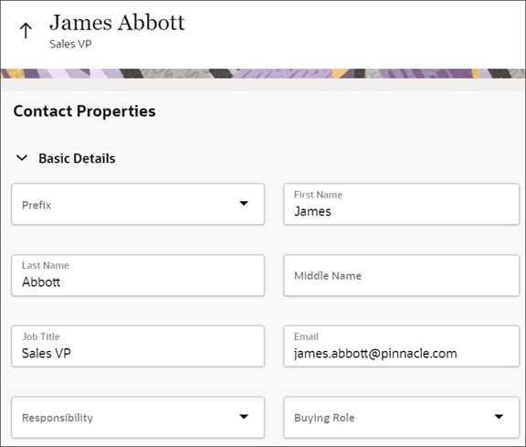 これは、「基本詳細」リージョンの編集可能なバージョンのスクリーンショットです。