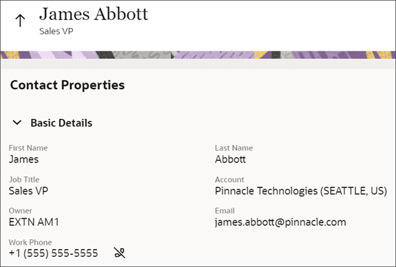 これは、「基本詳細」リージョンの読取り専用バージョンのスクリーンショットです。
