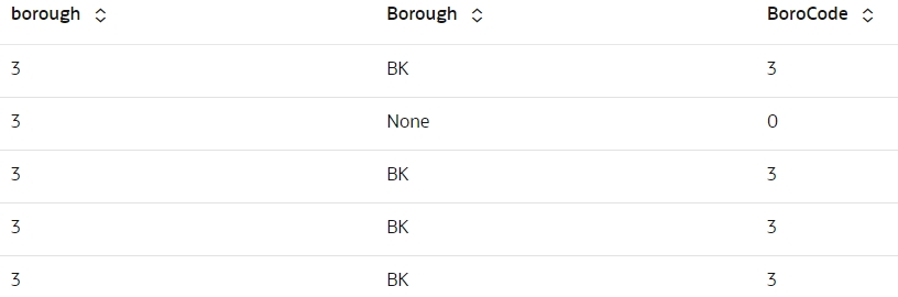 列borough、Borough、BoroCodeからのサンプル・データで、ランダムに5つの行が表示されています。