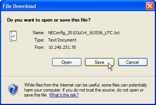 Save File