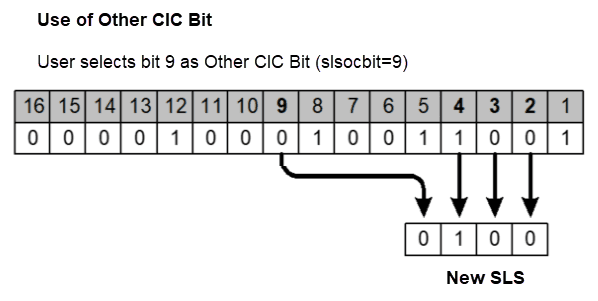 img/use-other-cic-bit-example.png
