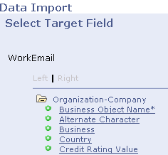 Data Import - Select Target Field page (1 of 2)