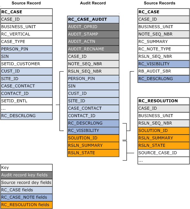 Partial case audit record