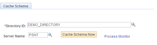 Cache Schema page