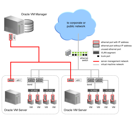 This figure illustrates two virtual machine networks with connectivity through the same interface.