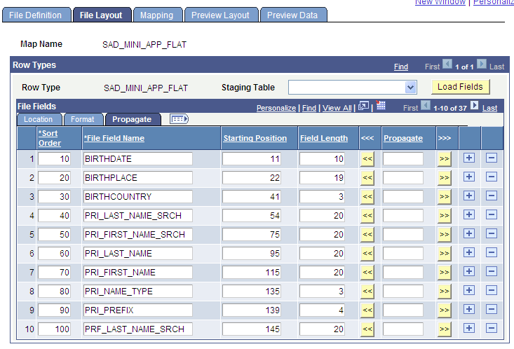 File Layout page - Propagate tab