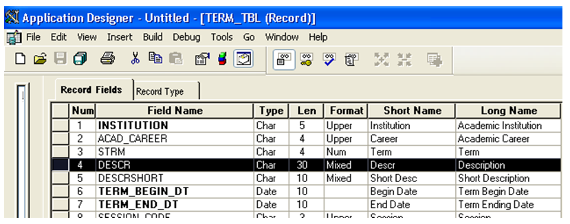 Application Designer showing the description fields for a record