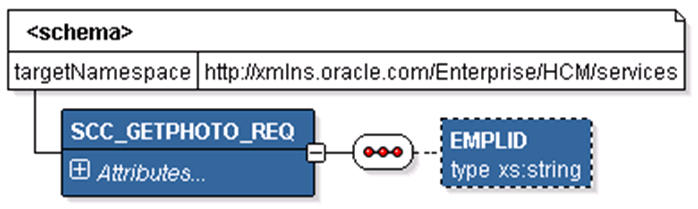 SCC_GETPHOTO_REQ Message Structure