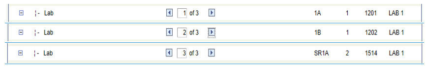 Example of labs for session setting