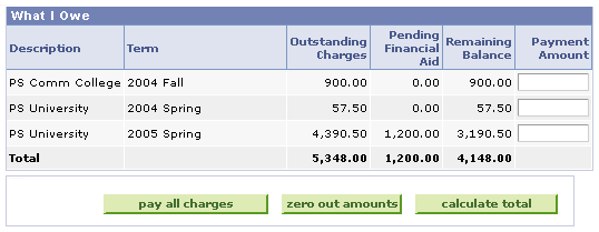 Allocation Level by Term page (1 of 2)
