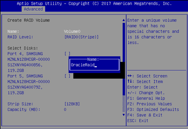 image:Image showing the Create RAID Volume screen, with an example                                 name provided.