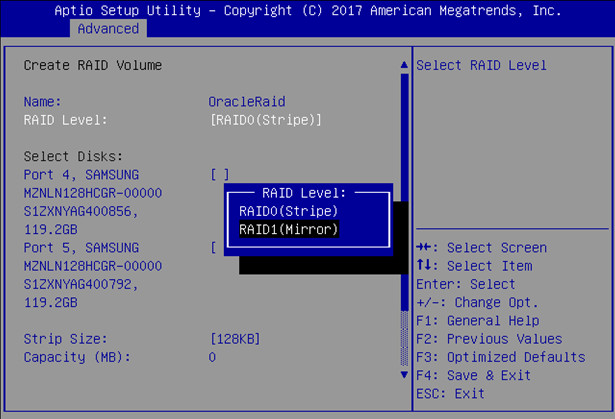 image:Figure of RAID1(Mirror) selected.
