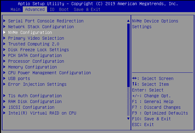 image:Picture of BIOS Setup Advanced - NVMe screen.