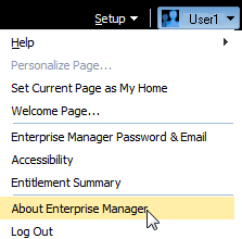About Enterprise Manager screen shot example