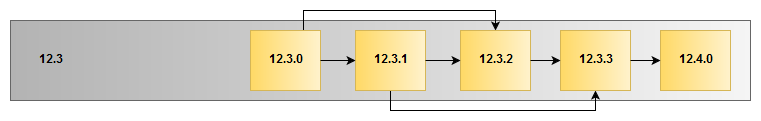 This diagram shows the supported upgrade paths from version 12.3