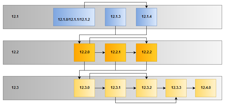 This diagram shows the supported upgrade paths from version 12.1