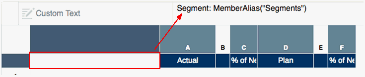 Screenshot, der die folgende Formel in der Zelle links oben zeigt: Segment: MemberAlias("Grid 1", "Segments")