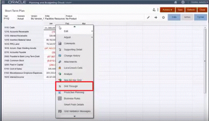 Bild, das die Drillthrough-Option auf dem Datenformular darstellt.