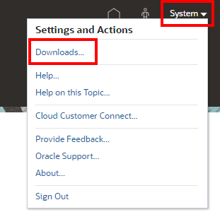 Option "Downloads" im Benutzermenü
