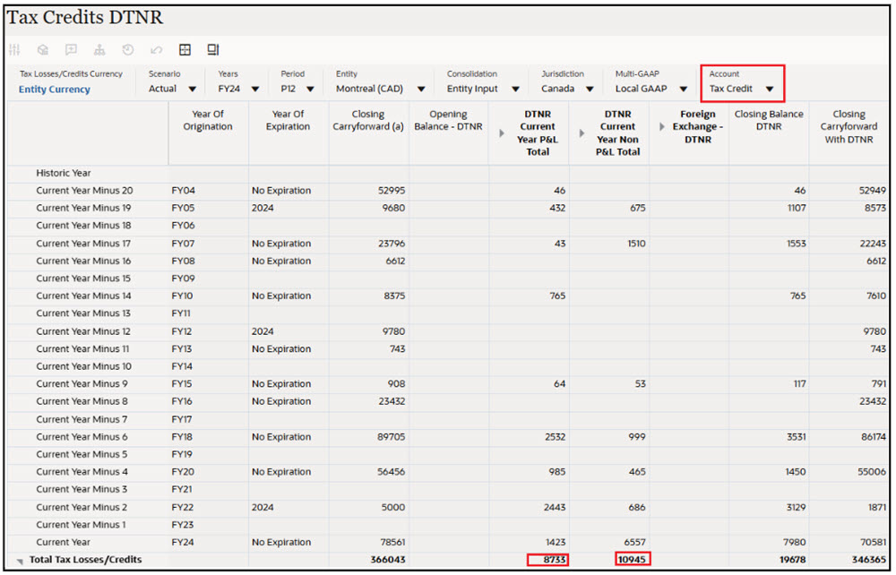 Werte im Formular "Steuerverluste - DTNR" nach Konsolidierung