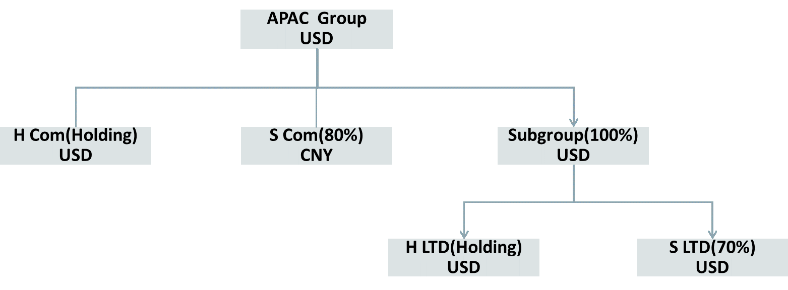 Subgrupos del informe de consolidación