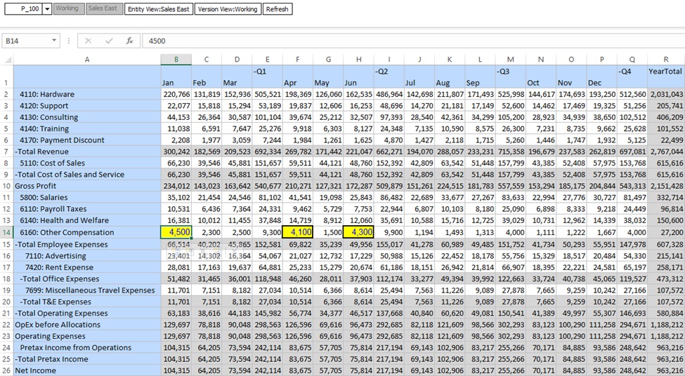Imagen que muestra una cuadrícula en tiempo de ejecución de Smart View con reglas de validación de datos y de formato aplicadas