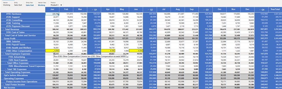 Imagen que muestra una cuadrícula en tiempo de ejecución web con reglas de validación de datos y de formato aplicadas